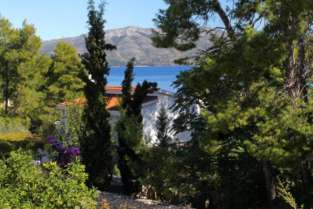 Apartments and rooms by the sea Lumbarda, Korcula - 9272 photo 1