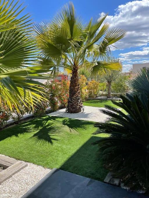 Villa Maïa photo 3