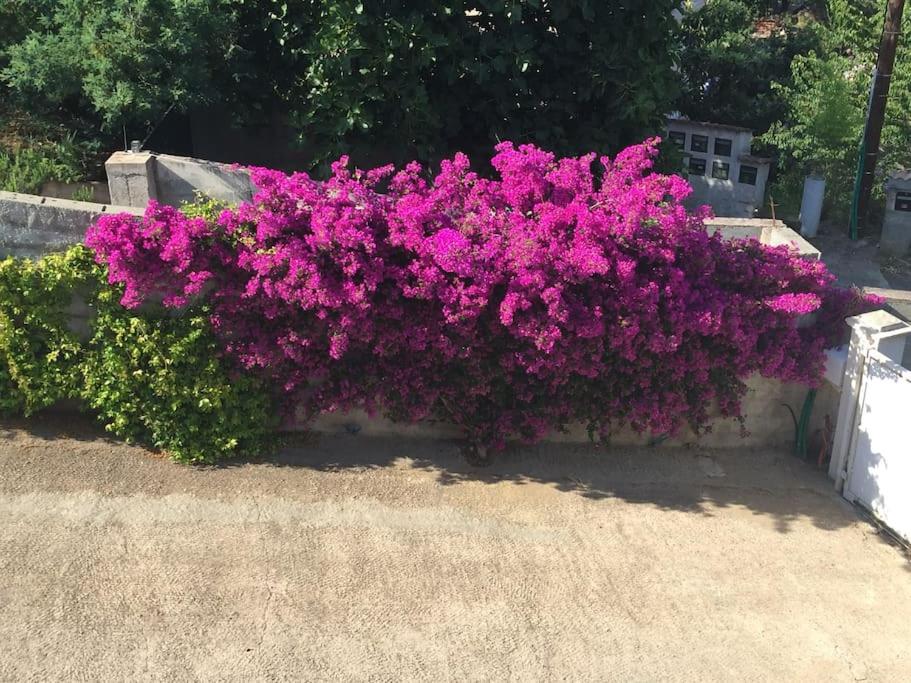 1베드룸 아파트