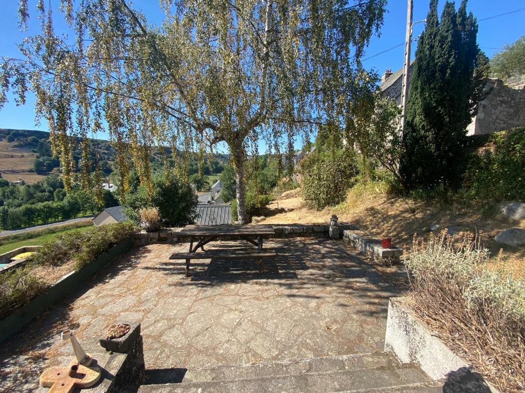 Maison de village avec terrasse et jardin Saint Urcize photo 1