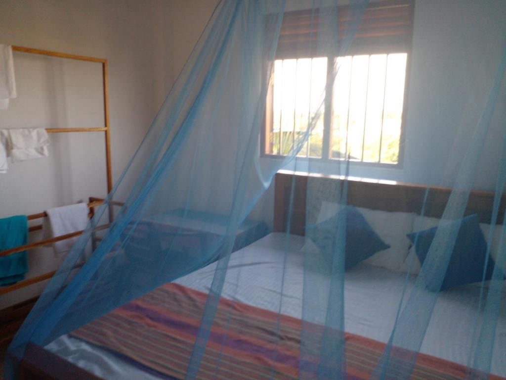 Galle City Nest photo 1
