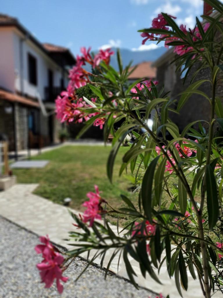 Villa Prespa photo 3