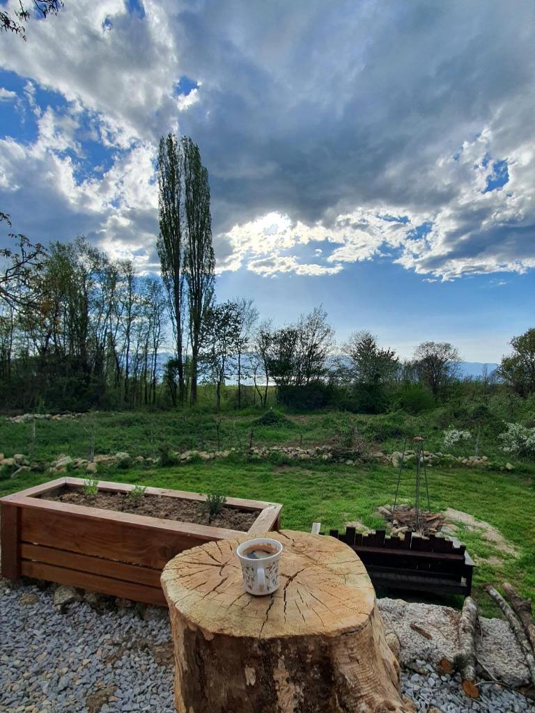 Villa Prespa photo 2