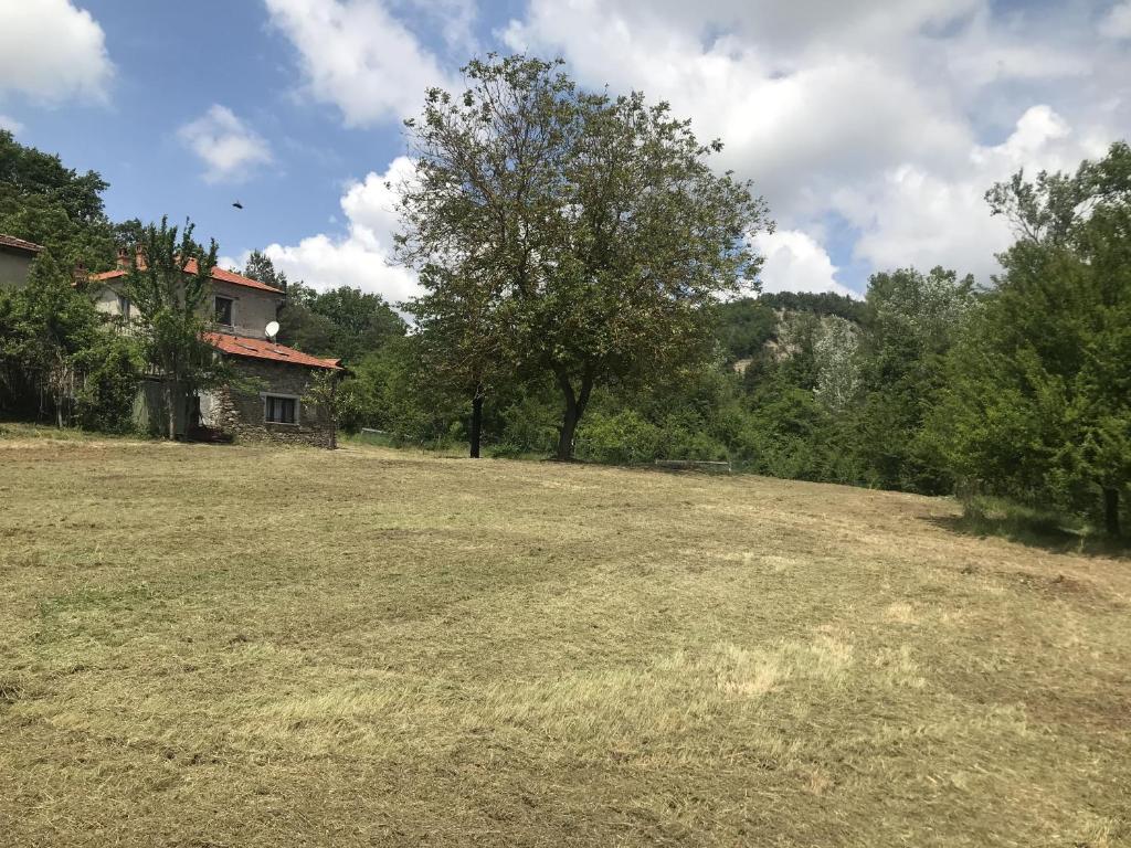 Era del Cinghiale Bianco, intera cascina nel Parco di Piana Crixia photo 4