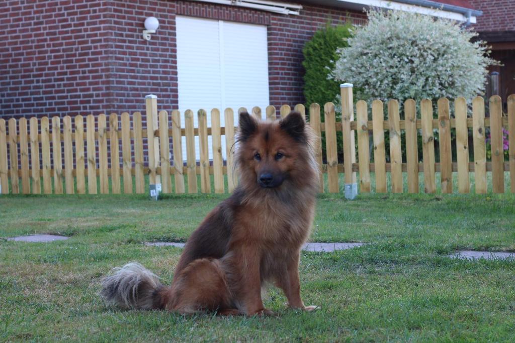 Ferienhaus Robby photo 3