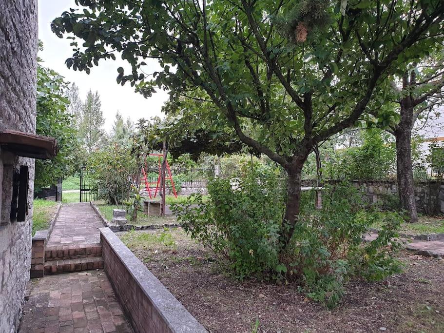 Casa rustica in pietra con camino e ampio giardino photo 3