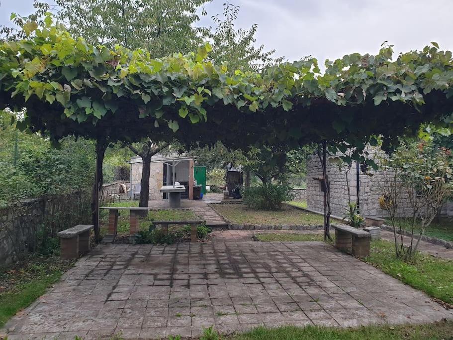 Casa rustica in pietra con camino e ampio giardino photo 4