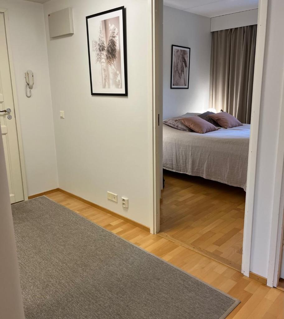 Tasokas jokiranta-asunto lähellä ydinkeskustaa photo 4