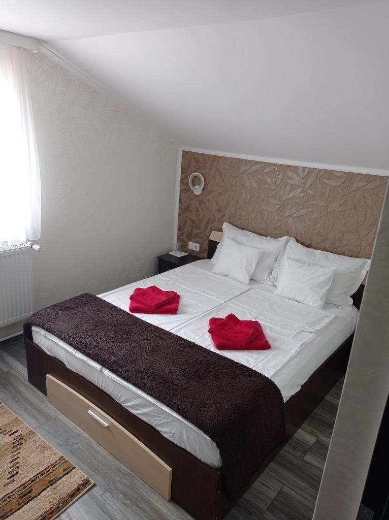 Casa Borza photo 3
