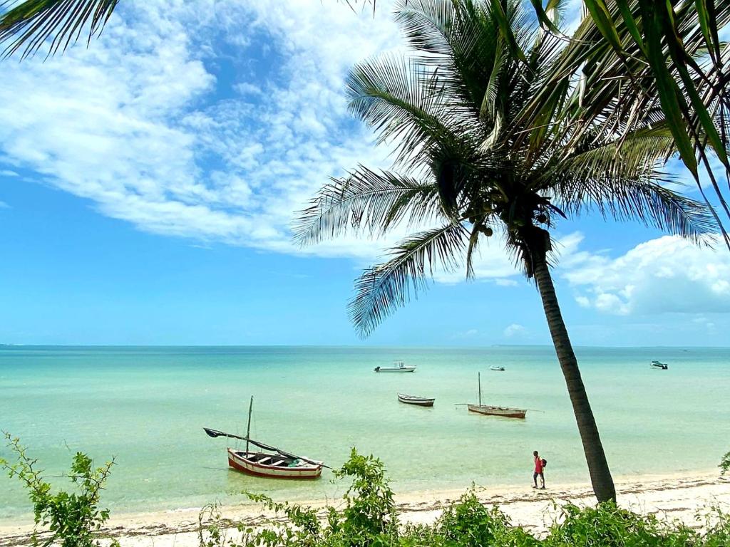 Baobab Beach Vilanculos photo 2