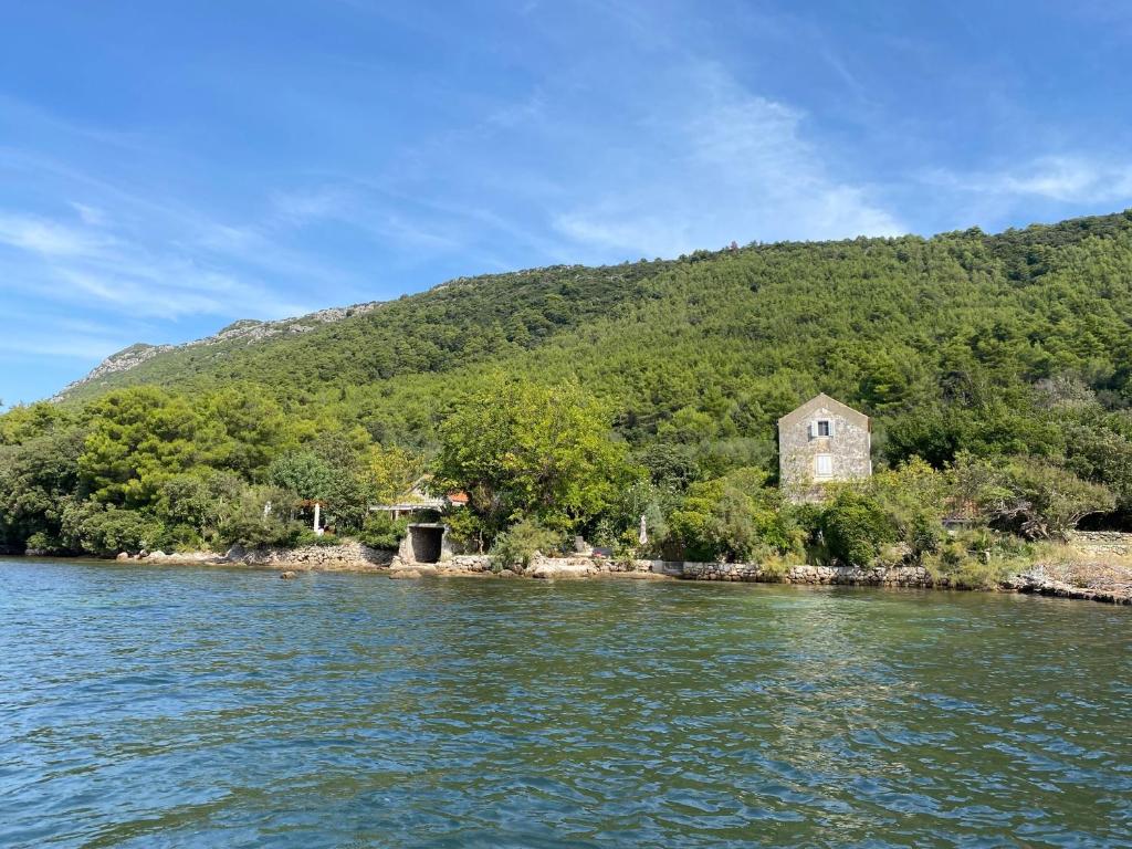 Secluded fisherman's cottage Ston - Supavao, Peljesac - 9485 photo 1