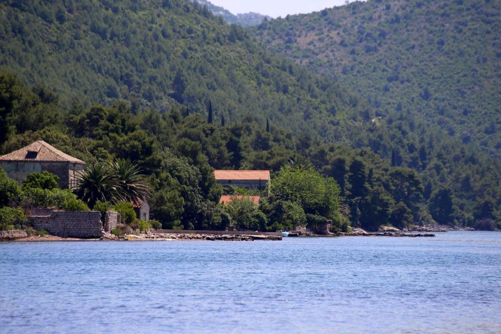 Secluded fisherman's cottage Ston - Supavao, Peljesac - 9485 photo 2