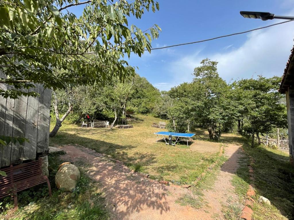 Sveri Adventure Camp photo 1