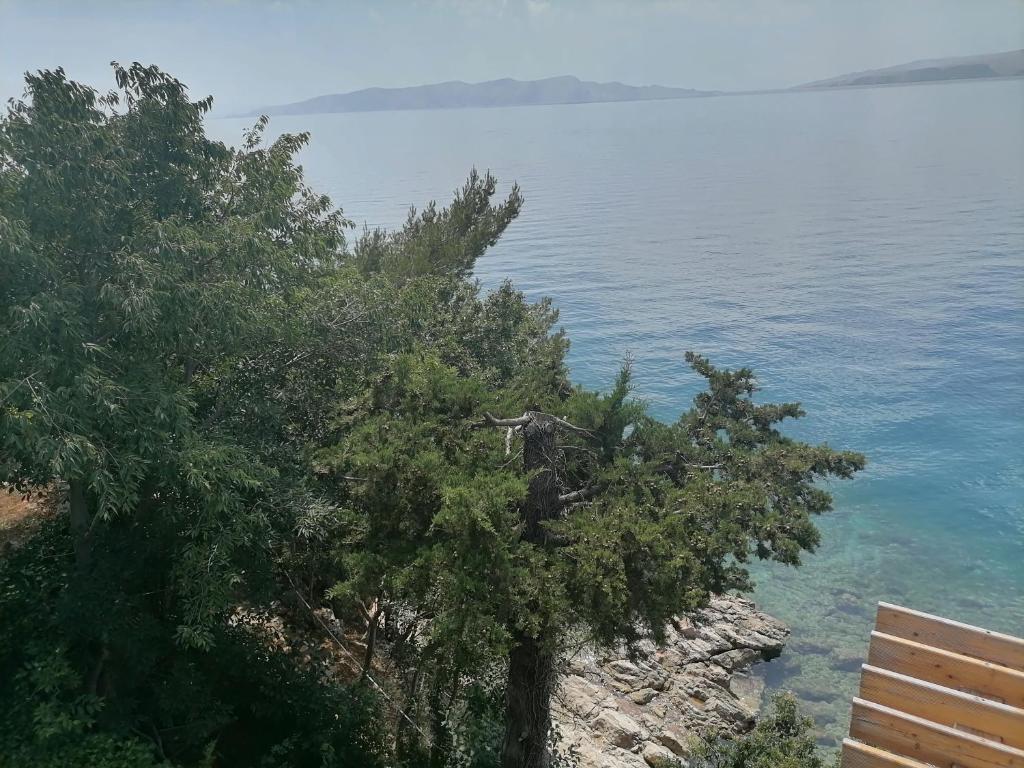 ĐUKA photo 1