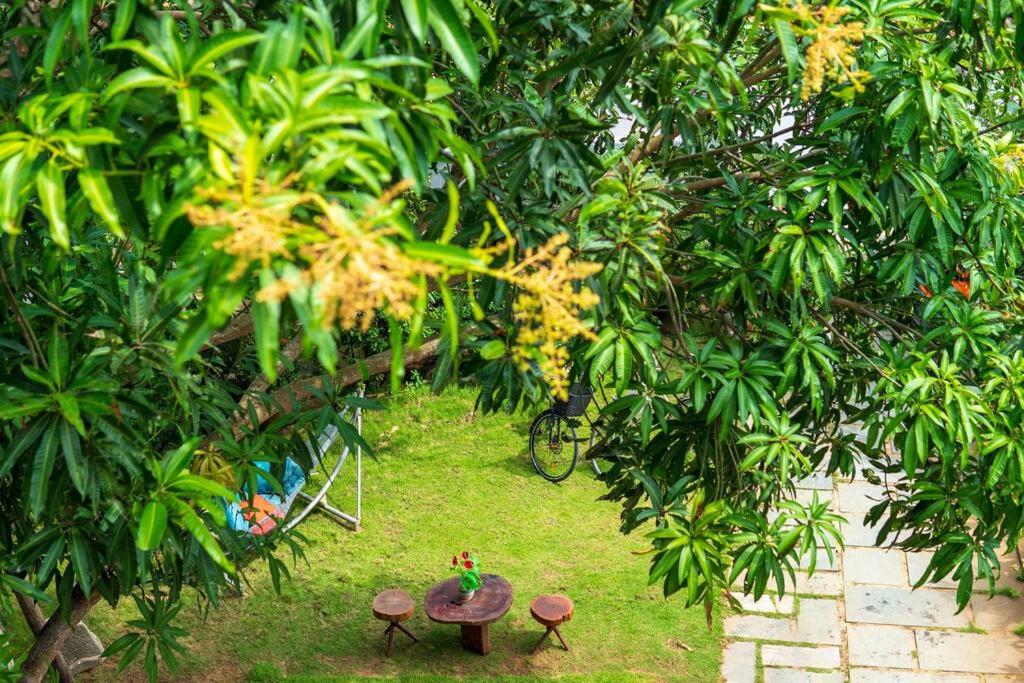 Flora Hoi An Boutique Villa