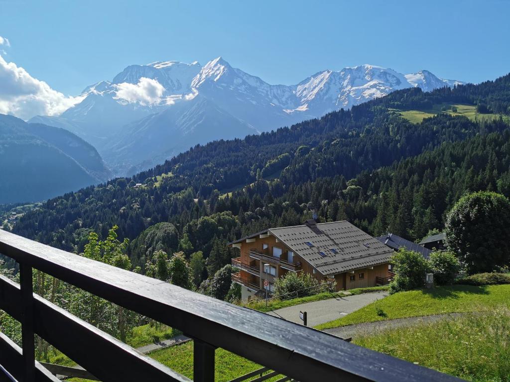 Duo Des Alpages vue exceptionnelle sur le Mont Blc