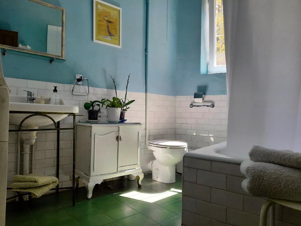 Casa Inma photo 4
