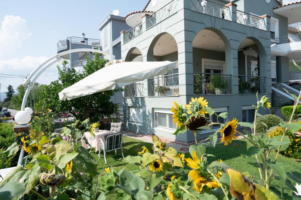 Apollon house photo 2