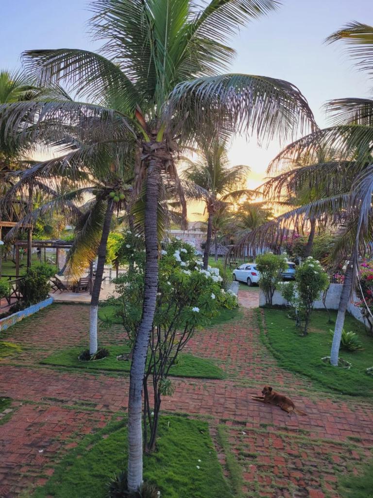 Pousada Canoa Beach photo 4