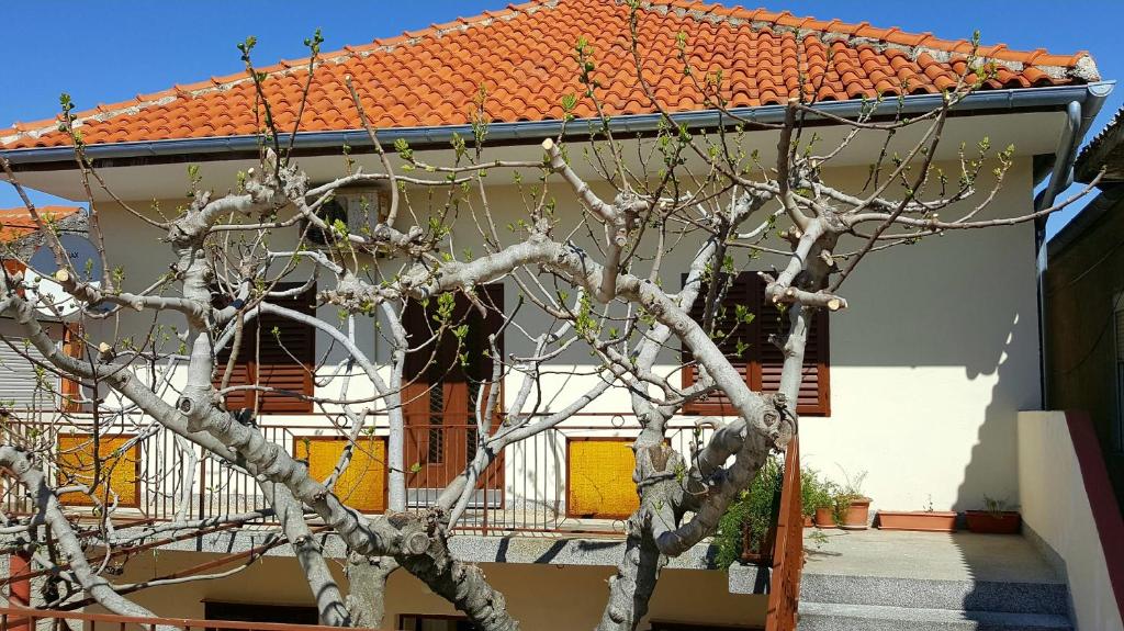 Apartments by the sea Posedarje, Novigrad - 12402 photo 1