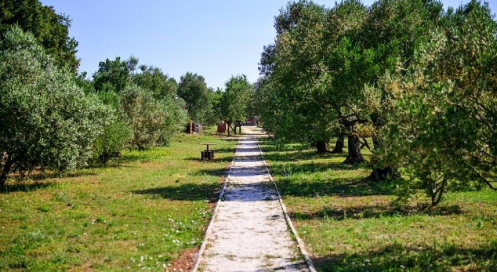 Seaside secluded apartments Biograd na Moru, Biograd - 12827 photo 4