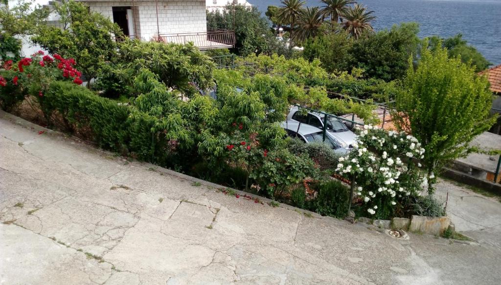 Apartments by the sea Kuciste, Peljesac - 12832 photo 1