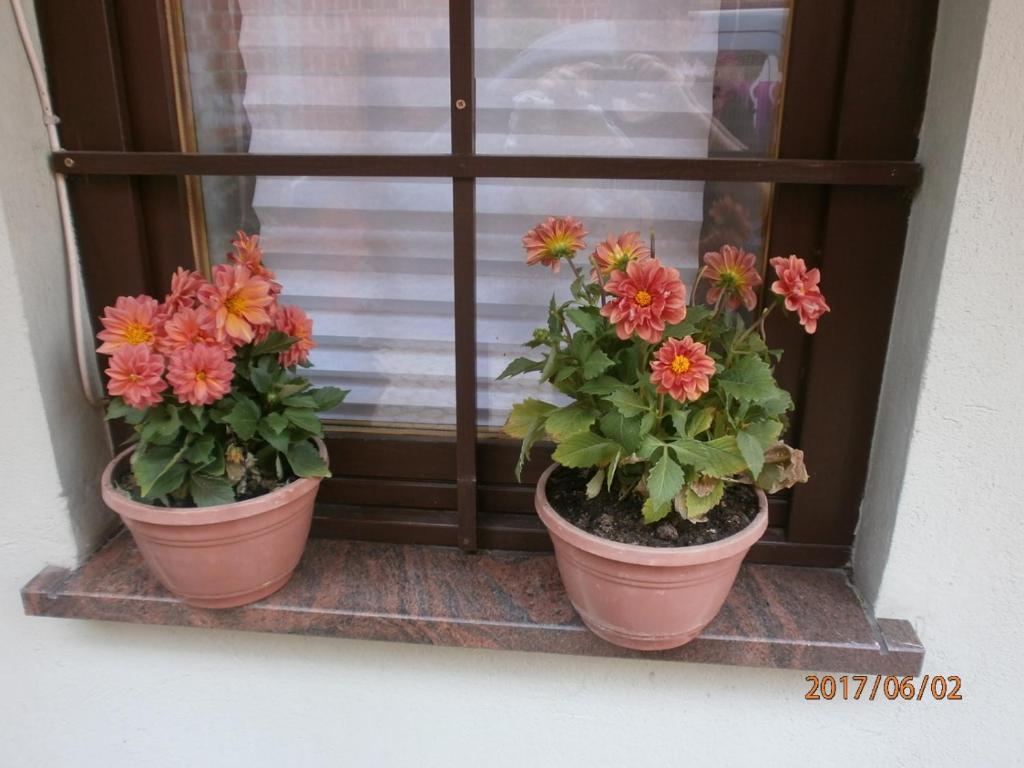 Apartments with a parking space Samobor, Prigorje - 12869 photo 3