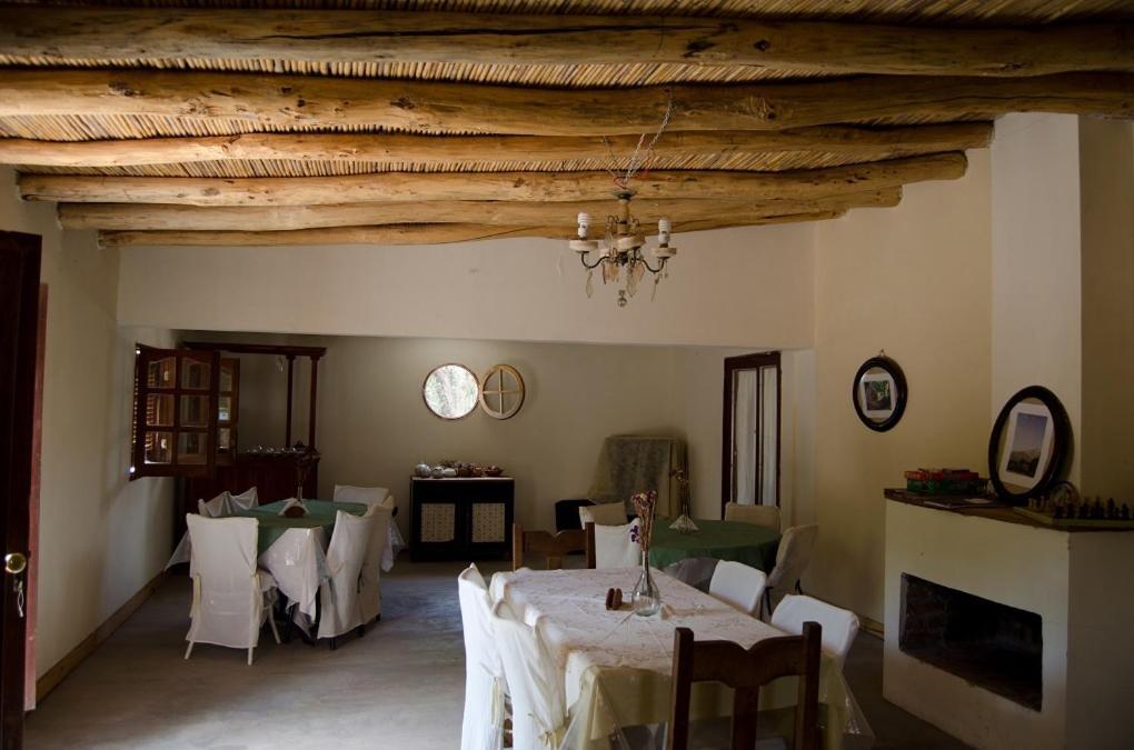 El Zorro Gris photo 4