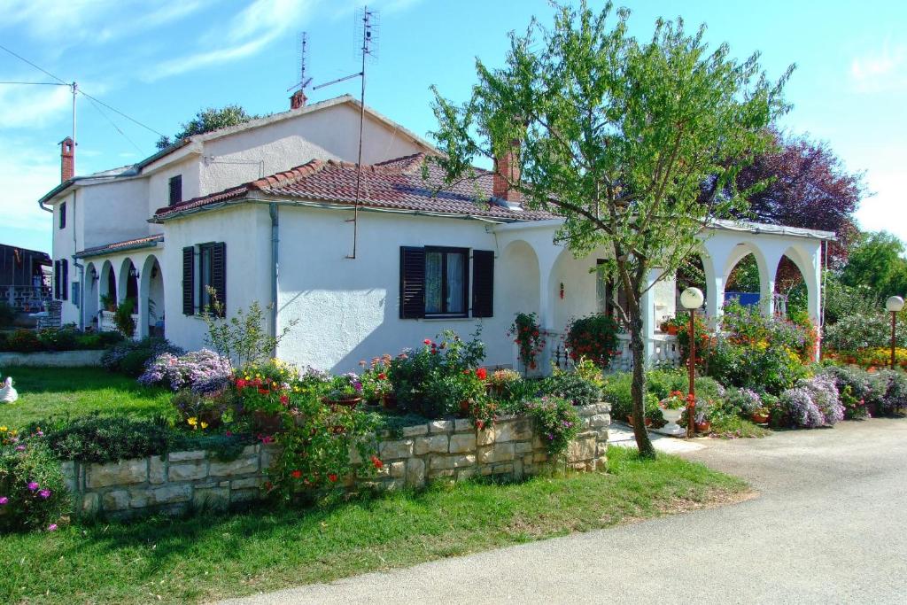 Double Room Zambratija 11875a photo 1