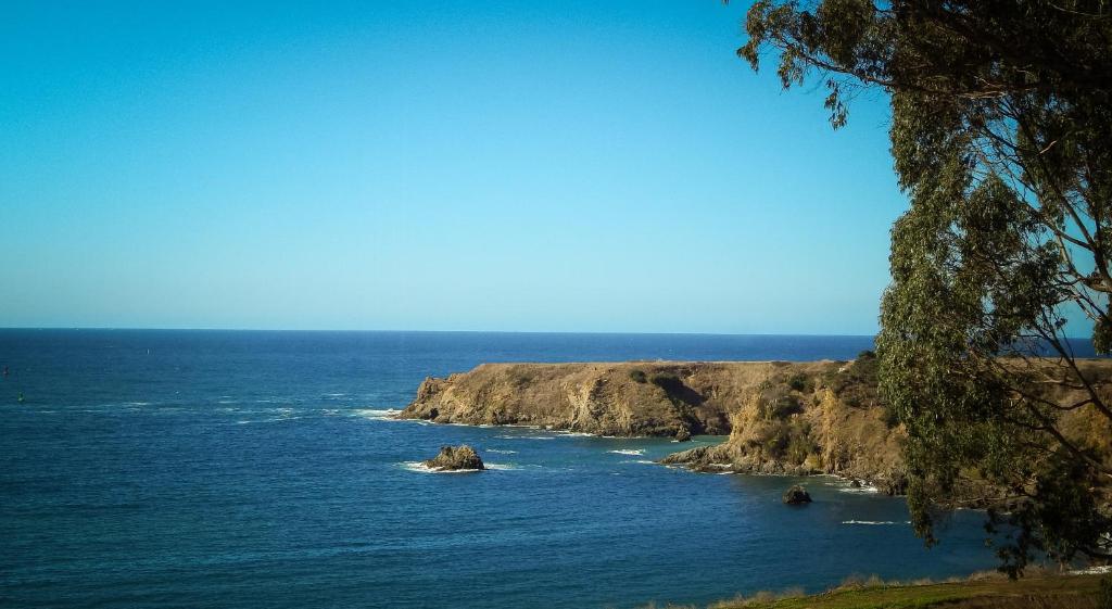 North Cliff Hotel photo 3
