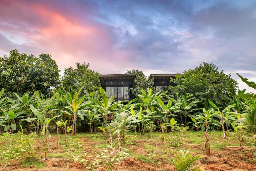 Atha Resort photo 1