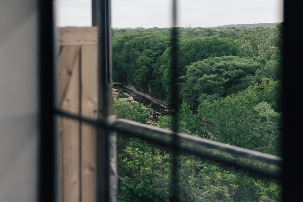 Gruene River Inn photo 2