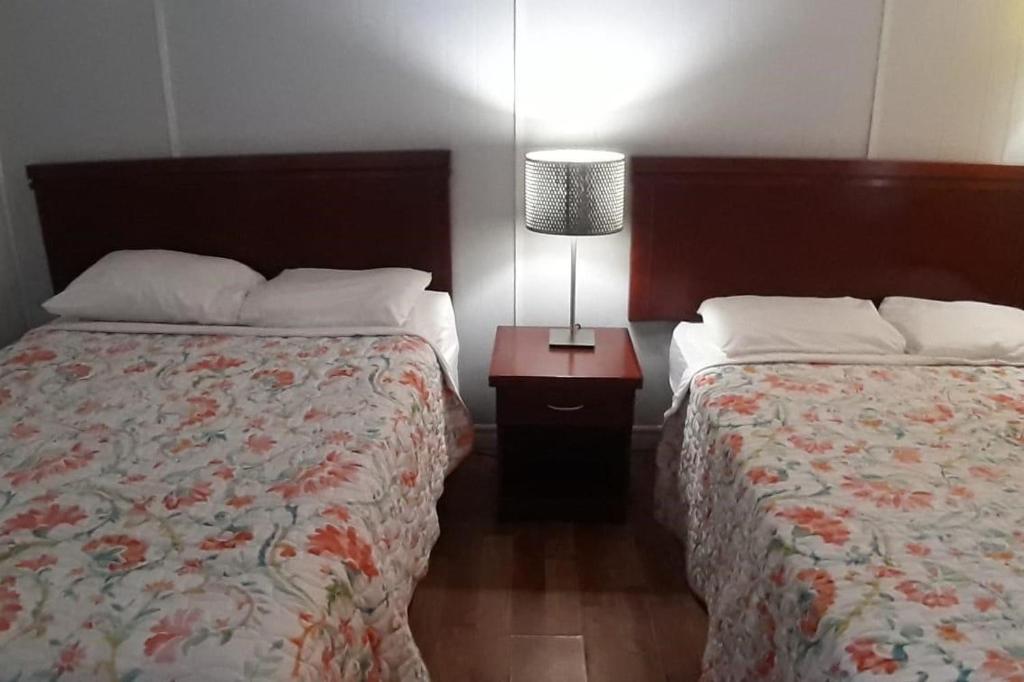 Regal Motel photo 3