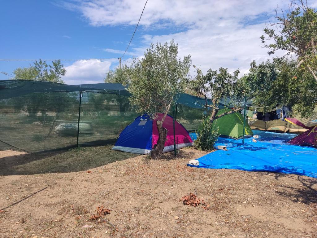 Aree tende presso la casa in campagna di Ottavia photo 3