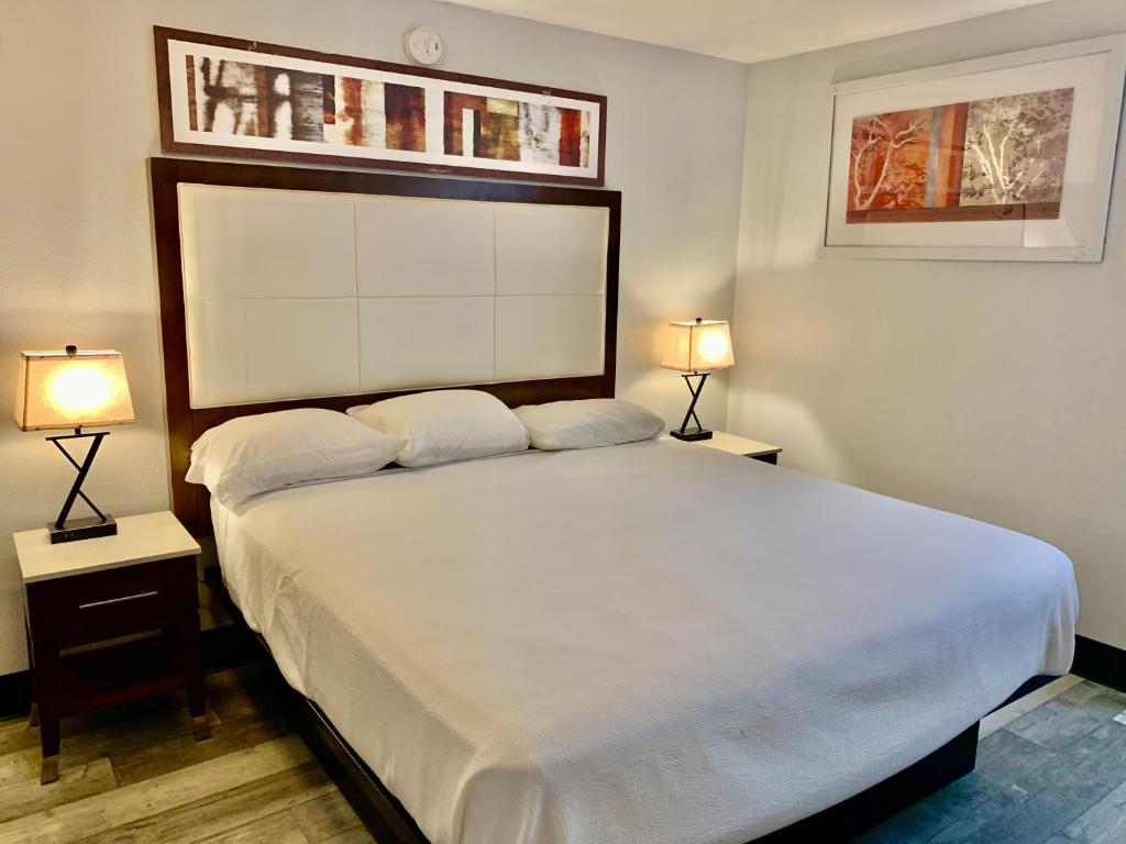 Executive Inn Midland photo 4
