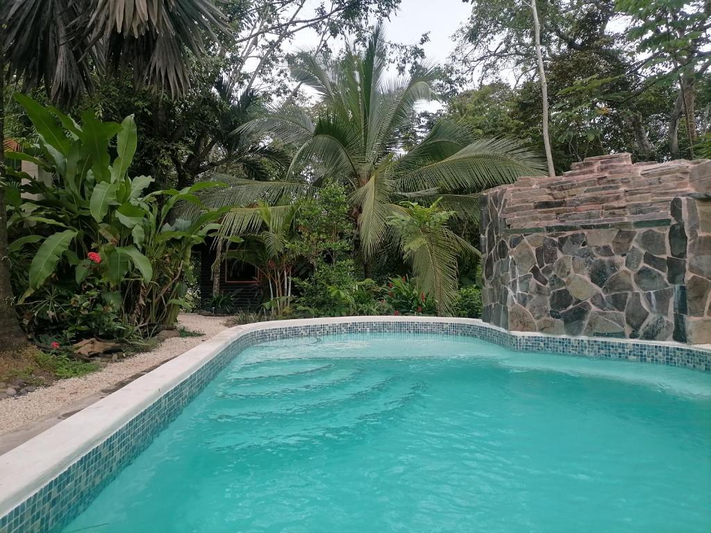 Casa el Colibrí photo 3