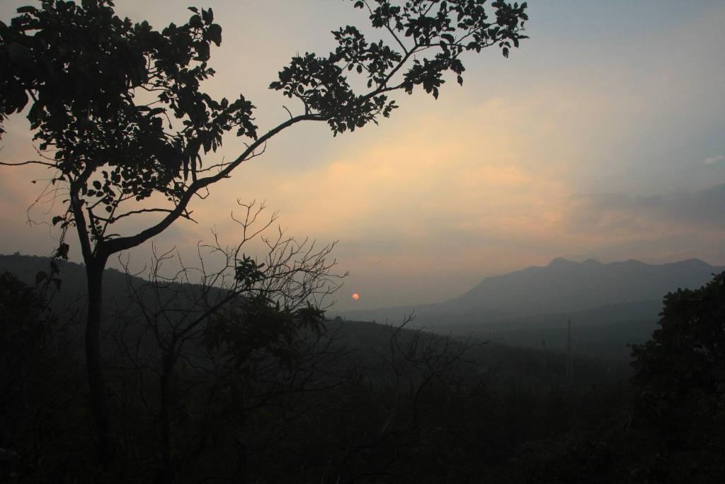 Devigiri Estate Stay by StayApart photo 4