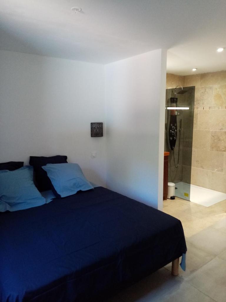 Villa maquis photo 3