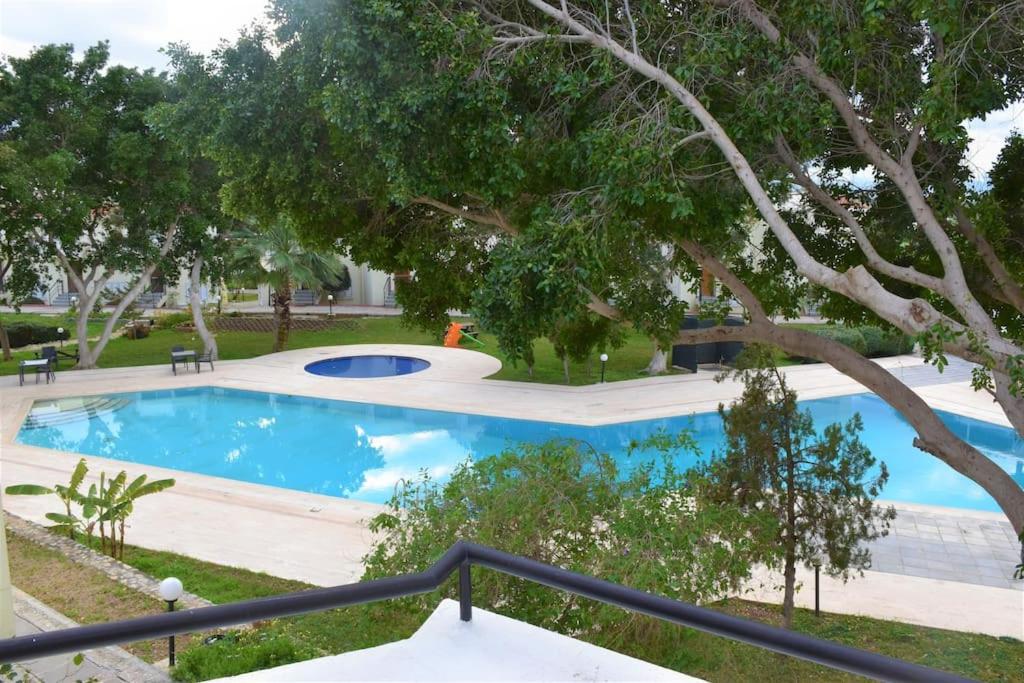 Villa Aqua photo 3