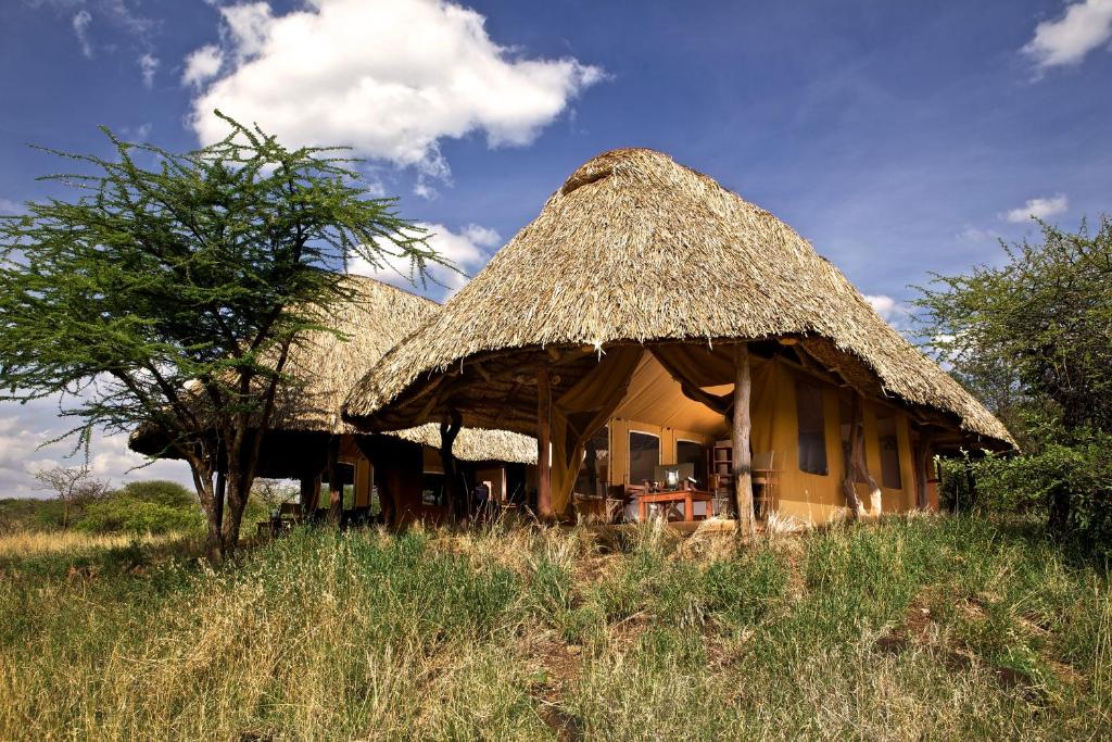 Elewana Lewa Safari Camp photo 4