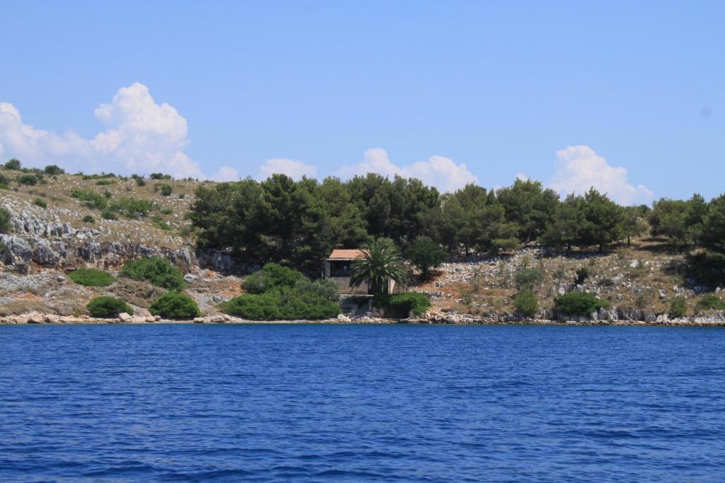 Secluded fisherman's cottage Lavdara, Dugi otok - 398 photo 1