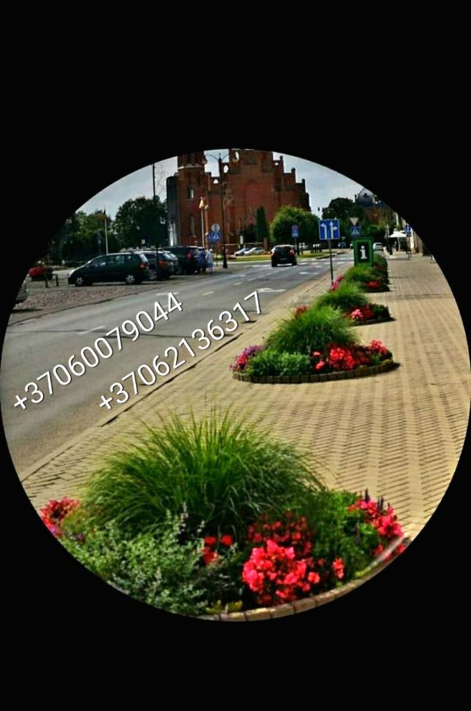 Apartament in the City Center photo 3