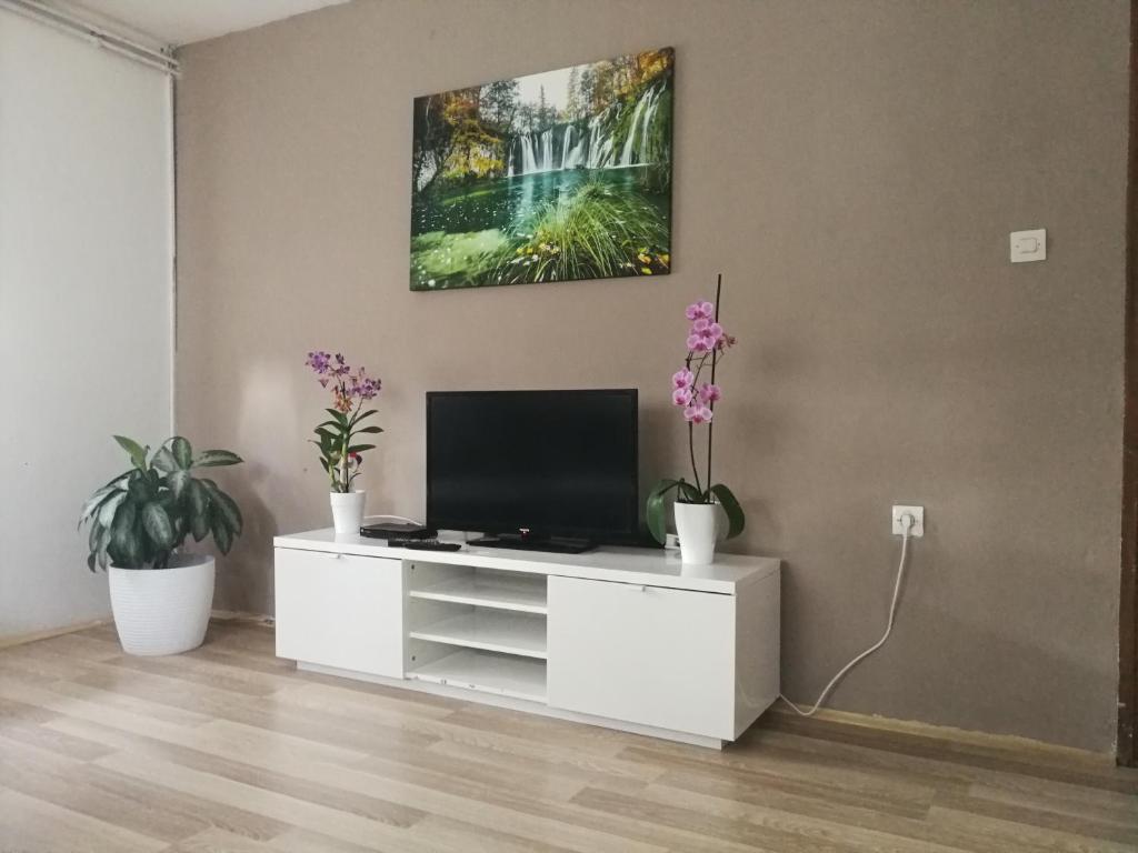 Apartment Smoljanac 14979b photo 4