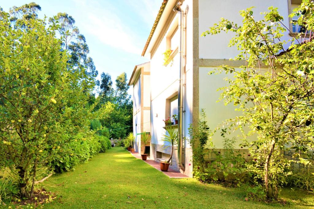 FINCA DE ROQUE photo 3
