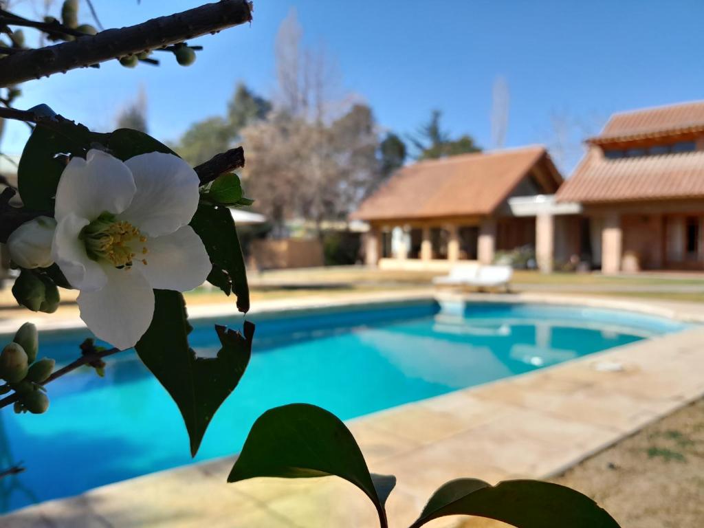 La Bignonia Posada photo 1