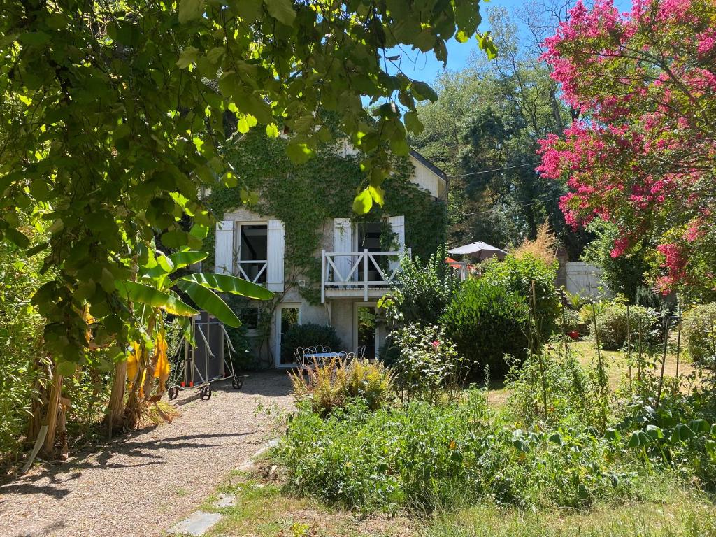 Chambre bananier: maison arborée face à la rivière