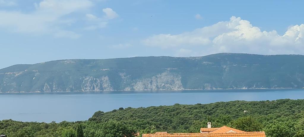 Luxury villas White Sails photo 3