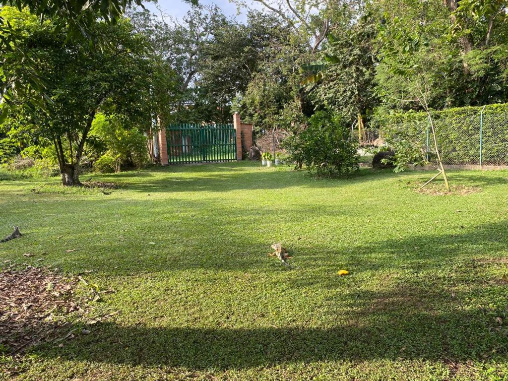 Finca del profe photo 3