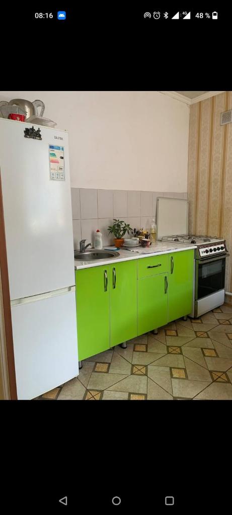 Совет, Эльмира