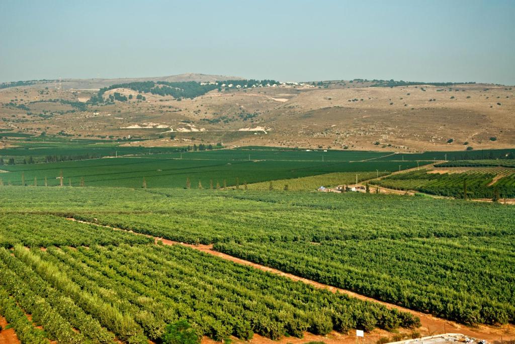 Nofesh Baharim photo 2